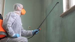 El Paso De Robles, CA Mold Remediation Company